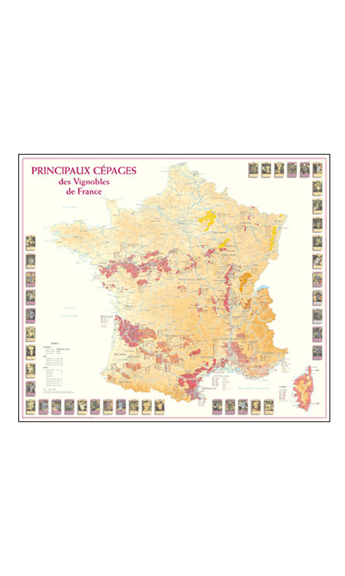 Carte des Principaux Cépages des Vignobles de France