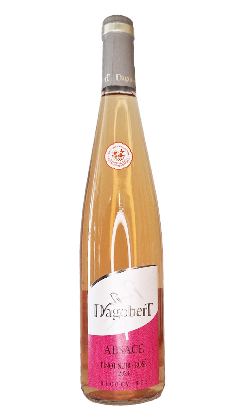 AOC Alsace Pinot Noir – Rosé Découverte / Cave du Roi Dagobert AOC Alsace Pinot Noir – Rosé Découverte / Cave du Roi Dagobert