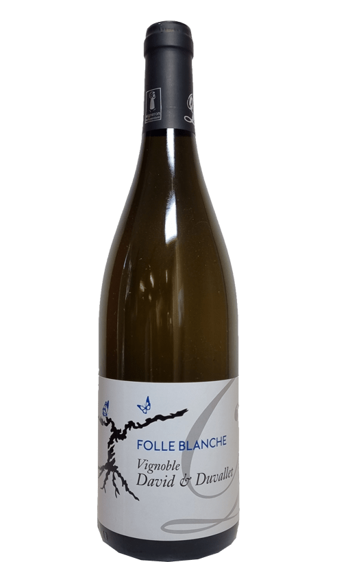 Vin de France Folle Blanche / Domaine David & Duvallet