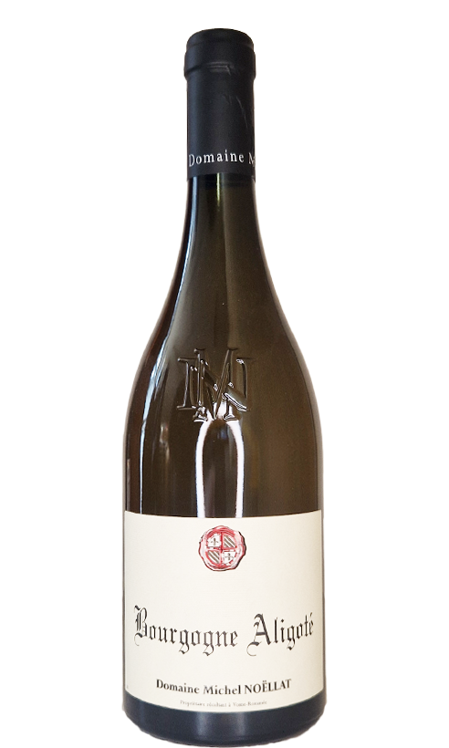 Bourgogne Aligoté / Domaine Michel Noëllat Bourgogne Aligoté / Domaine Michel Noëllat