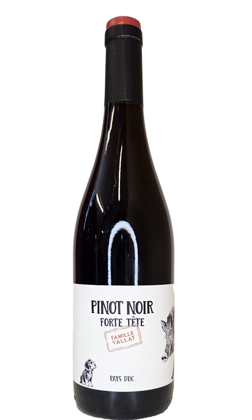 Pays d’Oc Forte Tête Pinot Noir / Vignobles Vallat Pays d’Oc Forte Tête Pinot Noir / Vignobles Vallat